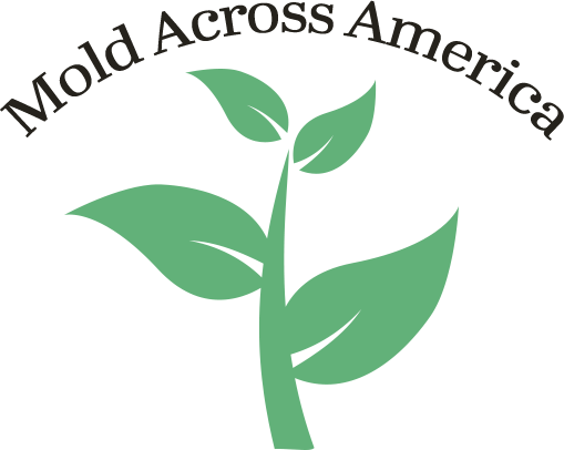 Mold Across America